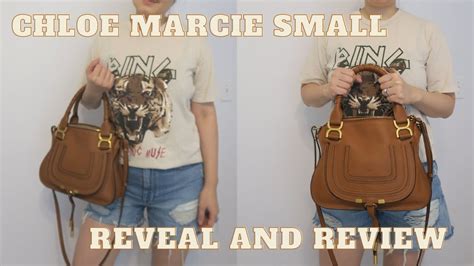 Chloe Marcie Small Reveal and Review 